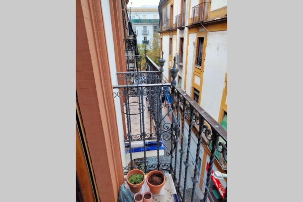 Appartamento Santa Cruz Siviglia